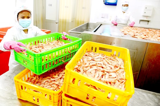 Thời cơ vàng xuất khẩu nông sản, thực phẩm chế biến ảnh 1 Xuất khẩu nông sản, thực phẩm chế biến: Nắm bắt thời cơ vàng ảnh 1