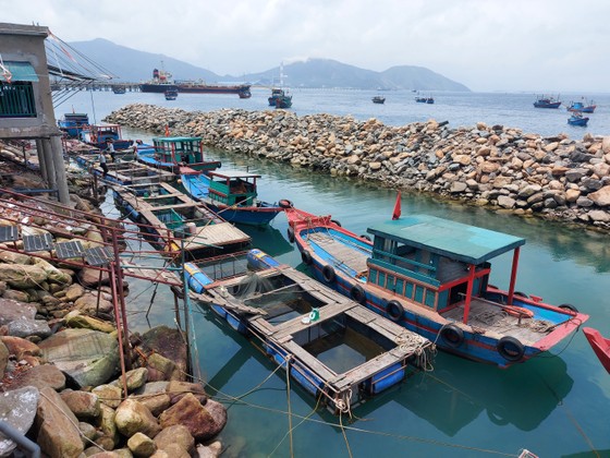 Hà Tĩnh: Mực nhảy Vũng Áng hấp dẫn du khách ảnh 12