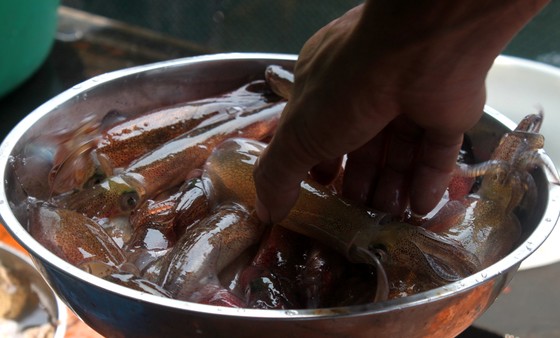 Hà Tĩnh: Mực nhảy Vũng Áng hấp dẫn du khách ảnh 3