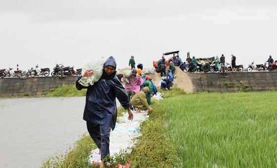 Miền Trung: Mưa lũ trái mùa, nông dân khốn đốn ảnh 1