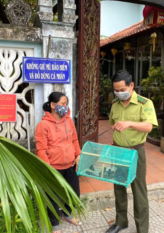 Giải cứu thú hoang ảnh 3