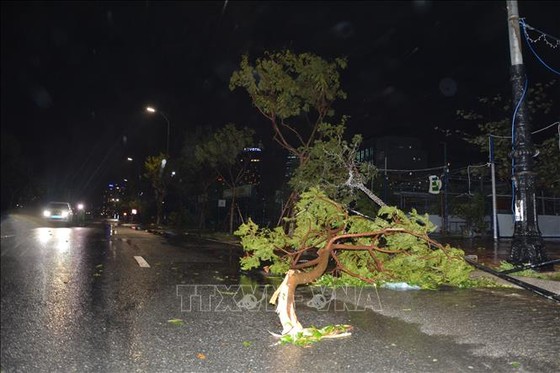 Tâm bão số 4 trên đất liền khu vực Thừa Thiên-Huế đến Quảng Ngãi ảnh 3