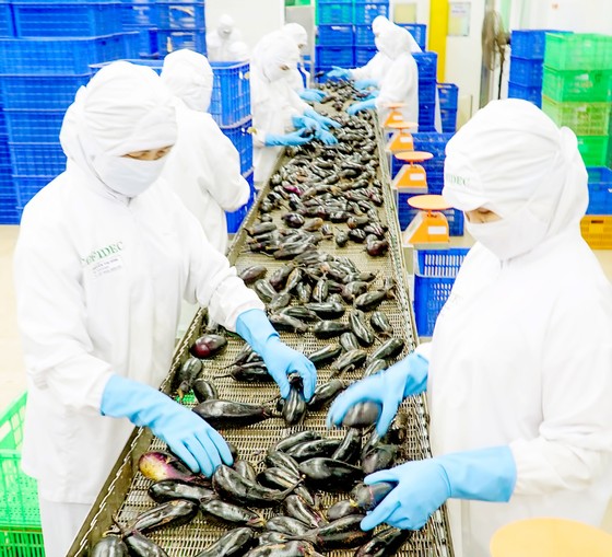 Xuất khẩu nông thủy sản tăng tốc ảnh 1