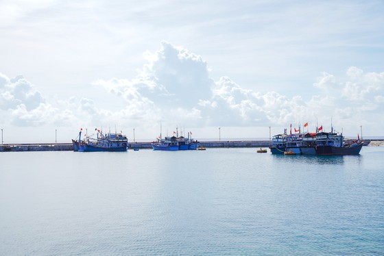 Sức sống Trường Sa ảnh 7 Sức sống Trường Sa ảnh 7