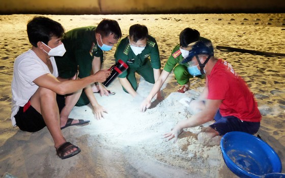 Chung tay vì một đại dương xanh ảnh 3