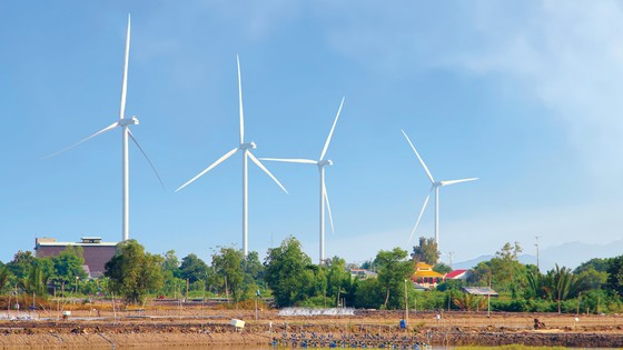 Sức bật từ cánh đồng điện gió ảnh 2