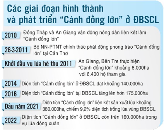 Để Cánh đồng lớn thật sự lớn - Khởi động rầm rộ, nhưng teo tóp dần ảnh 2 Để Cánh đồng lớn thật sự lớn - Bài 1: Khởi động rầm rộ, nhưng teo tóp dần ảnh 2