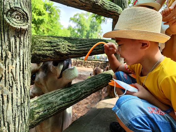 Thảo Cầm viên Sài Gòn nhộn nhịp khách hè ảnh 8 Thảo Cầm viên Sài Gòn nhộn nhịp khách hè ảnh 7
