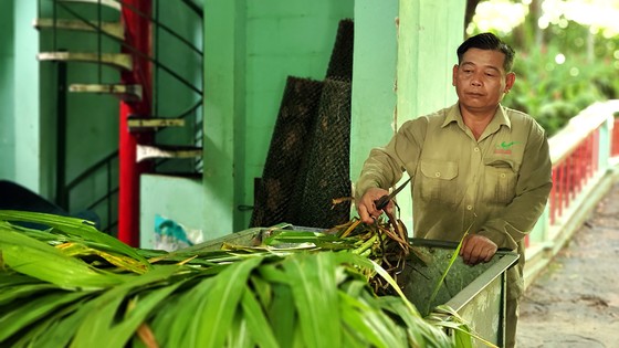 Thảo Cầm viên Sài Gòn nhộn nhịp khách hè ảnh 2 Thảo Cầm viên Sài Gòn nhộn nhịp khách hè ảnh 1