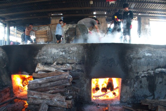 Trúng mùa cá cơm ảnh 5 Trúng mùa cá cơm ảnh 5