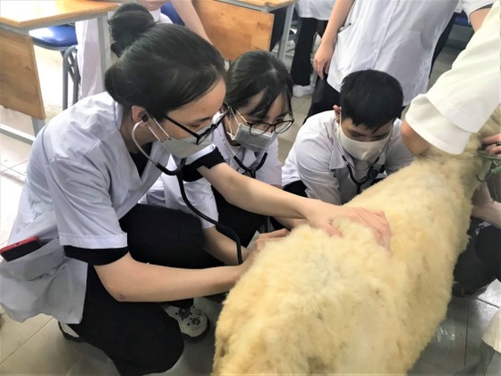 Thiếu nguồn nhân lực chuyên ngành nông nghiệp ảnh 1 Thiếu nguồn nhân lực chuyên ngành nông nghiệp ảnh 1