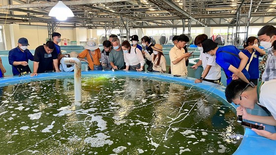 Hàng ngàn sinh viên nguy cơ bị buộc thôi học ảnh 1