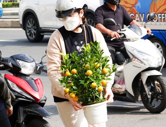 Chợ hoa Đà Nẵng ngày cận Tết: giá tăng nhẹ, tấp nập bán mua ảnh 11 Chợ hoa Đà Nẵng ngày cận Tết: giá tăng nhẹ, tấp nập bán mua ảnh 11