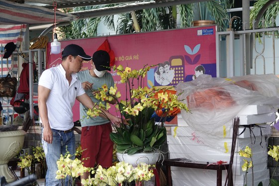 Chợ hoa Đà Nẵng ngày cận Tết: giá tăng nhẹ, tấp nập bán mua ảnh 5