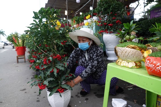 Chợ hoa Đà Nẵng ngày cận Tết: giá tăng nhẹ, tấp nập bán mua ảnh 6