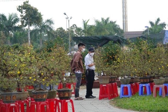 Chợ hoa Đà Nẵng ngày cận Tết: giá tăng nhẹ, tấp nập bán mua ảnh 2 Chợ hoa Đà Nẵng ngày cận Tết: giá tăng nhẹ, tấp nập bán mua ảnh 2