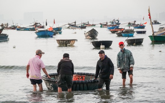 Nhộn nhịp đầu năm với mùa ruốc biển ảnh 3 Nhộn nhịp đầu năm với mùa ruốc biển ảnh 2