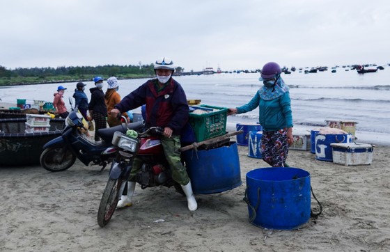Nhộn nhịp đầu năm với mùa ruốc biển ảnh 8 Nhộn nhịp đầu năm với mùa ruốc biển ảnh 7