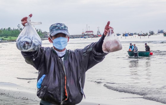 Nhộn nhịp đầu năm với mùa ruốc biển ảnh 10 Nhộn nhịp đầu năm với mùa ruốc biển ảnh 9