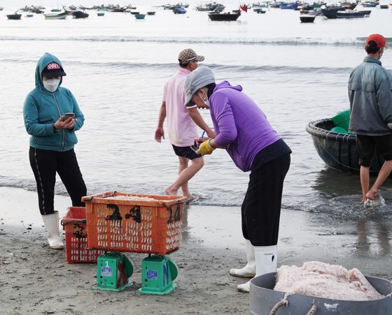 Nhộn nhịp đầu năm với mùa ruốc biển ảnh 6 Nhộn nhịp đầu năm với mùa ruốc biển ảnh 5
