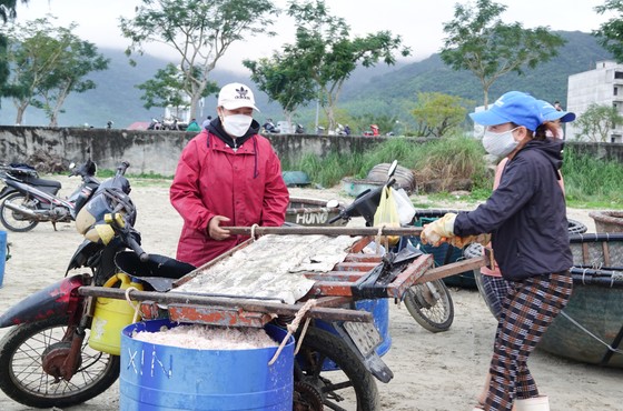 Nhộn nhịp đầu năm với mùa ruốc biển ảnh 9 Nhộn nhịp đầu năm với mùa ruốc biển ảnh 8