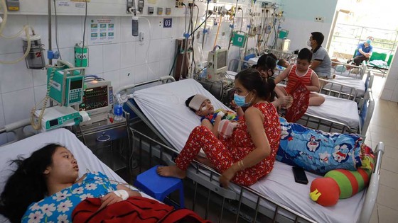 Vào mùa dịch bệnh tay chân miệng, sốt xuất huyết ảnh 2 Vào mùa dịch bệnh tay chân miệng, sốt xuất huyết ảnh 1