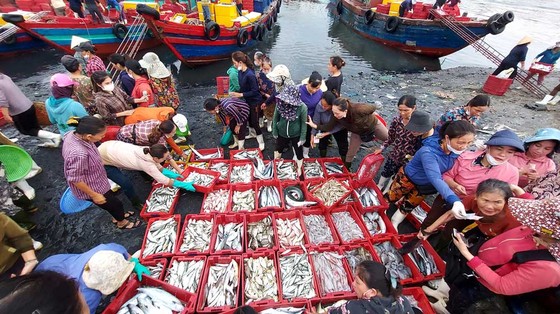 Nhộn nhịp làng biển ảnh 1 Nhộn nhịp làng biển ảnh 1