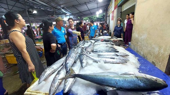 Nhộn nhịp làng biển ảnh 3 Nhộn nhịp làng biển ảnh 3