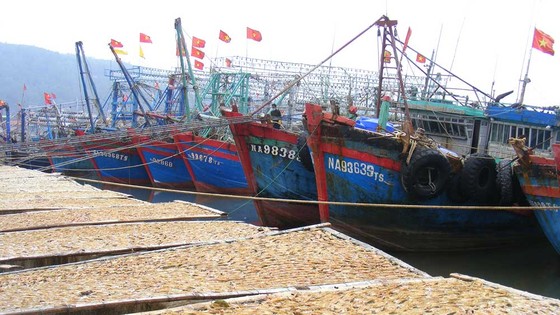 Nhộn nhịp làng biển ảnh 5 Nhộn nhịp làng biển ảnh 5