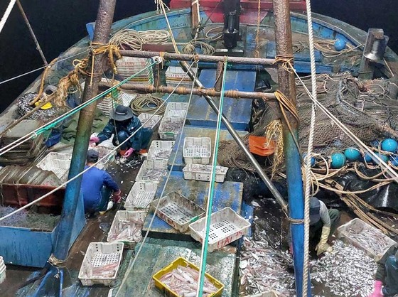 Nhộn nhịp làng biển ảnh 6 Nhộn nhịp làng biển ảnh 6