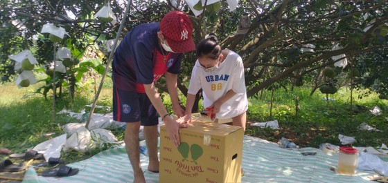 Giá bưởi Tân Triều tăng, hút hàng trên thị trường ảnh 4