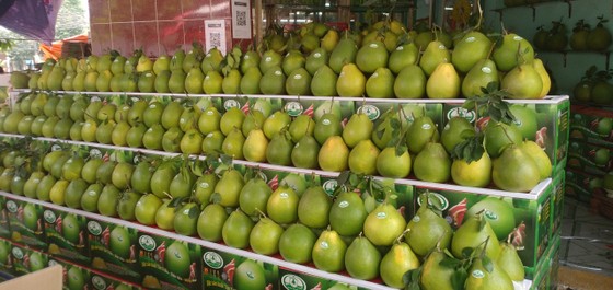 Giá bưởi Tân Triều tăng, hút hàng trên thị trường ảnh 8