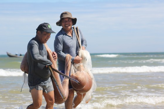 Ngư dân rẽ sóng 'săn' hàng tấn ruốc biển mỗi ngày ảnh 7