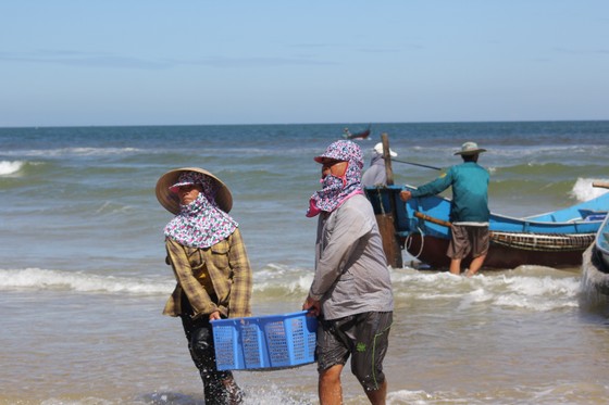 Ngư dân rẽ sóng 'săn' hàng tấn ruốc biển mỗi ngày ảnh 3