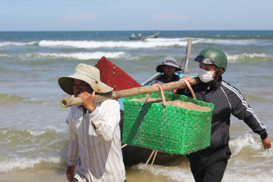 Ngư dân rẽ sóng “săn” hàng tấn ruốc biển mỗi ngày ảnh 11 Ngư dân rẽ sóng 'săn' hàng tấn ruốc biển mỗi ngày ảnh 10