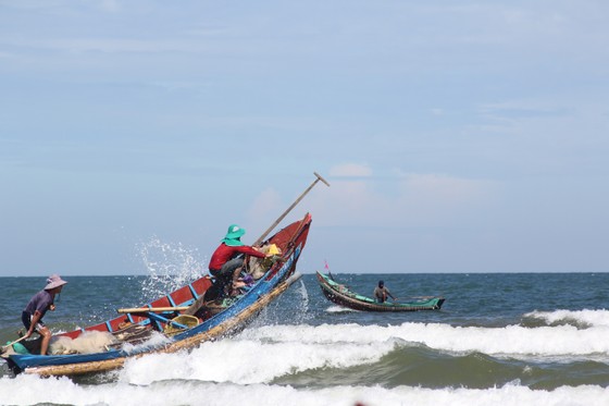 Ngư dân rẽ sóng 'săn' hàng tấn ruốc biển mỗi ngày ảnh 1