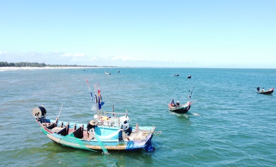 Ngư dân rẽ sóng 'săn' hàng tấn ruốc biển mỗi ngày ảnh 2