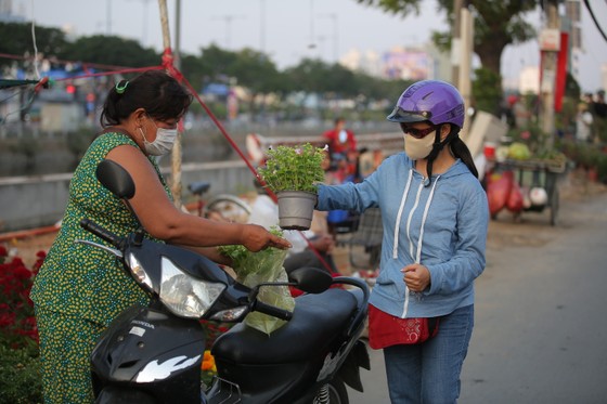 Khai mạc chợ hoa xuân “Trên bến dưới thuyền” Tết Nhâm Dần 2022 ảnh 2 Khai mạc chợ hoa xuân 'Trên bến dưới thuyền' Tết Nhâm Dần 2022 ảnh 2