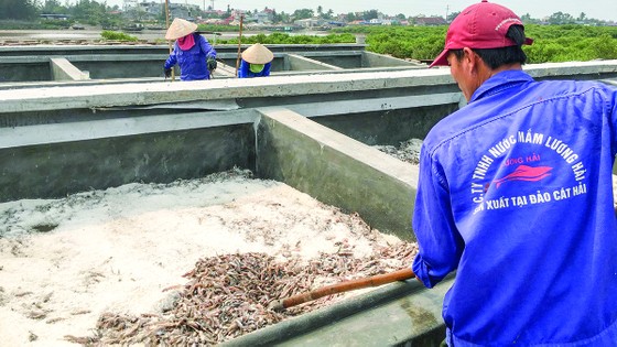 Tìm giải pháp tăng xuất khẩu nước mắm Việt ảnh 2 Tìm giải pháp tăng xuất khẩu nước mắm Việt ảnh 1