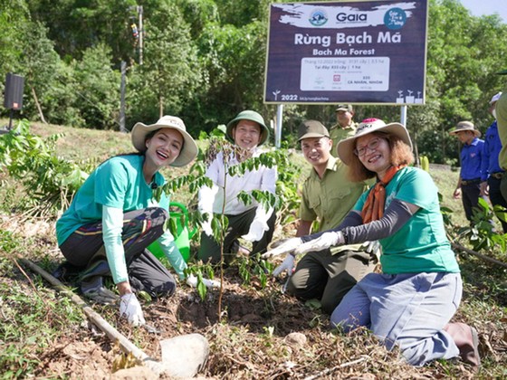 Hoang sơ Bạch Mã ảnh 7 Hoang sơ Bạch Mã ảnh 6