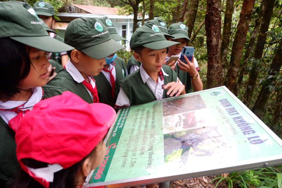 Hoang sơ Bạch Mã ảnh 6 Hoang sơ Bạch Mã ảnh 5