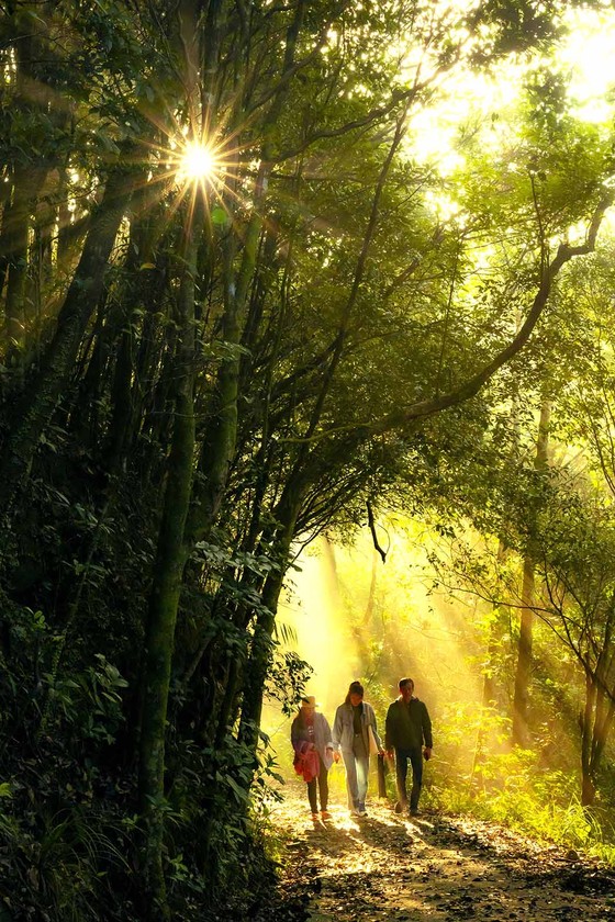 Hoang sơ Bạch Mã ảnh 2 Hoang sơ Bạch Mã ảnh 1