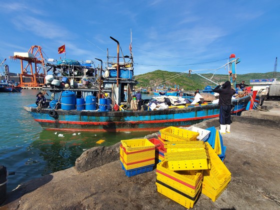 Ngư dân tố bị chèn ép, 'chặt chém' giá dầu ảnh 8