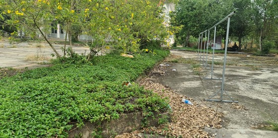 Lâm viên thanh niên hoang tàn, đầy rác thải y tế ảnh 8 Lâm viên thanh niên hoang tàn, đầy rác thải y tế ảnh 7