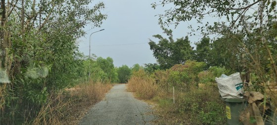 Lâm viên thanh niên hoang tàn, đầy rác thải y tế ảnh 9 Lâm viên thanh niên hoang tàn, đầy rác thải y tế ảnh 8