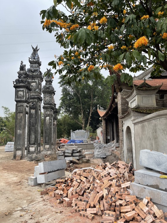 Hợp lý hóa sai phạm bằng 'bổ sung hồ sơ' - chuyện buồn di sản ảnh 1