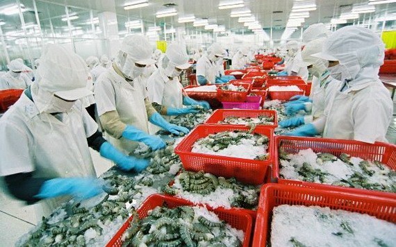 697 企业达向台湾出口水产品标准 (示意图源:互联网)