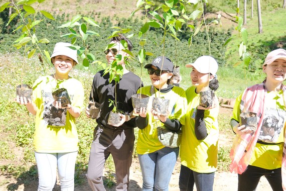 Ước mơ xanh của cô gái Đà Lạt Nhân viên một doanh nghiệp ở TPHCM nhận cây giống miễn phí từ chị Phan Diệu Linh