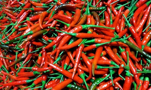 Thông tin: Trung Quốc cấm nhập khẩu ớt Việt Nam là giả mạo