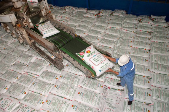 Phân bón Cà Mau giảm xuất khẩu, ưu tiên thị trường trong nước